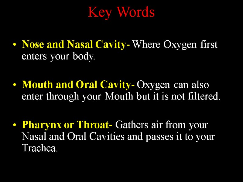 Key Words  Nose and Nasal Cavity- Where Oxygen first enters your body. 